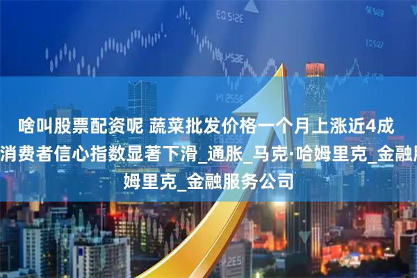 啥叫股票配资呢 蔬菜批发价格一个月上涨近4成 美国8月消费者信心指数显著下滑_通胀_马克·哈姆里克_金融服务公司