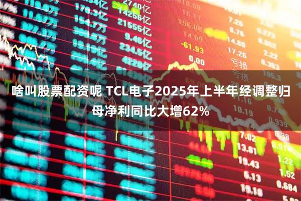 啥叫股票配资呢 TCL电子2025年上半年经调整归母净利同比大增62%