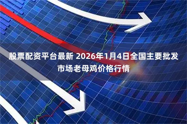 股票配资平台最新 2026年1月4日全国主要批发市场老母鸡价格行情